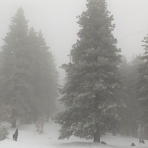 Meet your Posher, Viviana